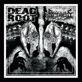 Rottenness : Dead Root - Rottenness Rottenness : Dead Root - Rottenness